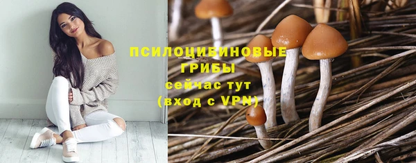 ПСИЛОЦИБИНОВЫЕ ГРИБЫ Володарск