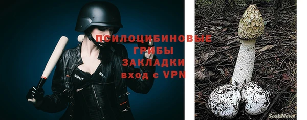 ПСИЛОЦИБИНОВЫЕ ГРИБЫ Володарск