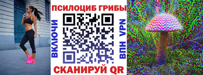 магазин    Тверь  Галлюциногенные грибы мухоморы 