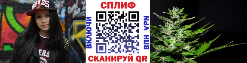Бошки марихуана MAZAR  где найти   Тверь 